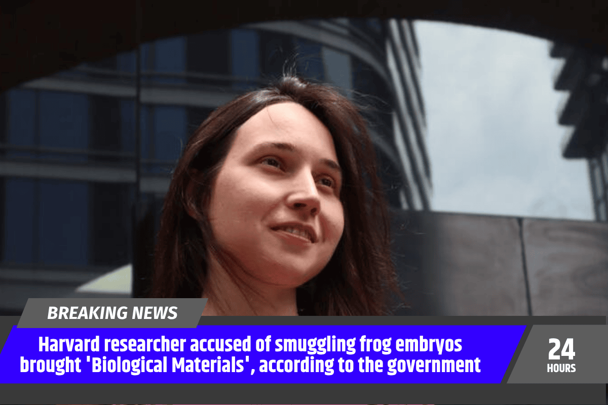 Harvard researcher accused of smuggling frog embryos brought 'Biological Materials', according to the government